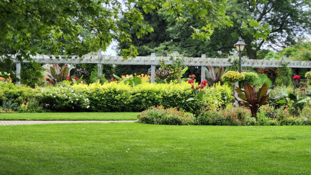 Cómo Preparar tu Jardín para el Verano en Sant Andreu de la Barca