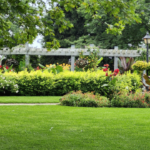 Cómo Preparar tu Jardín para el Verano en Sant Andreu de la Barca