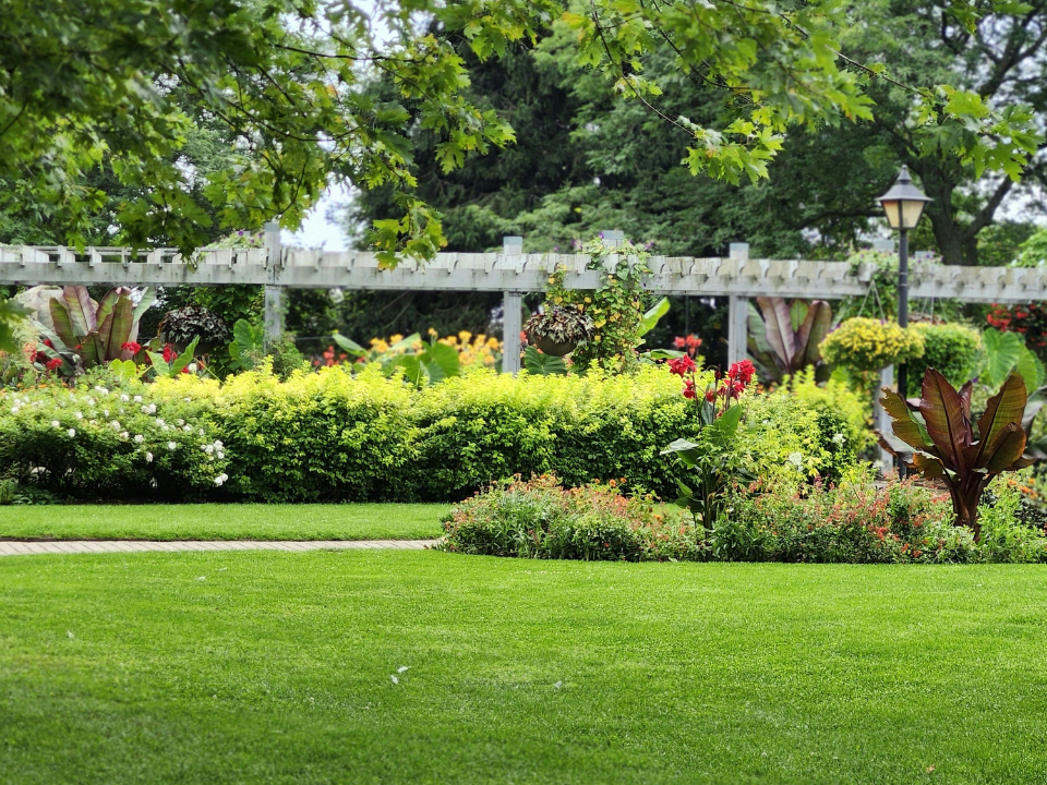 Cómo Preparar tu Jardín para el Verano en Sant Andreu de la Barca